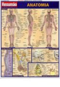 Resumo - Anatomia Profunda e Posterior - Resumão